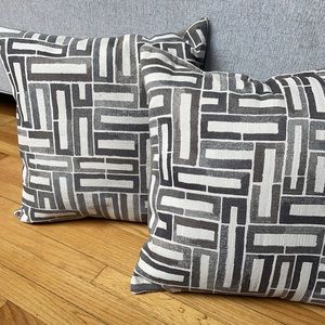2 20” x 20” Decorative Pillows